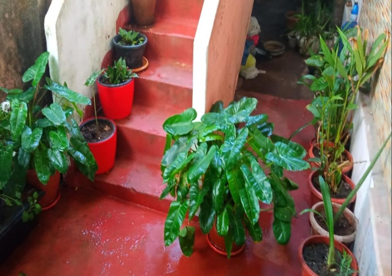 Raelyn'S Homestay Kochi Eksteriør bilde